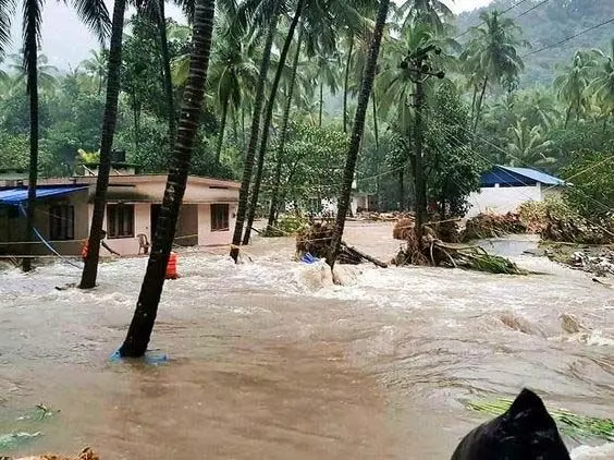 Flood-hit Assam: लोगों और जंगली जानवरों की बर्बादी