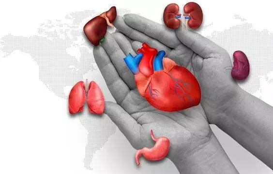 Organ Donation: भारत बढ़ावा देने की नई पहल, स्वास्थ्य मंत्रालय द्वारा प्रोत्साहना कैंपेन