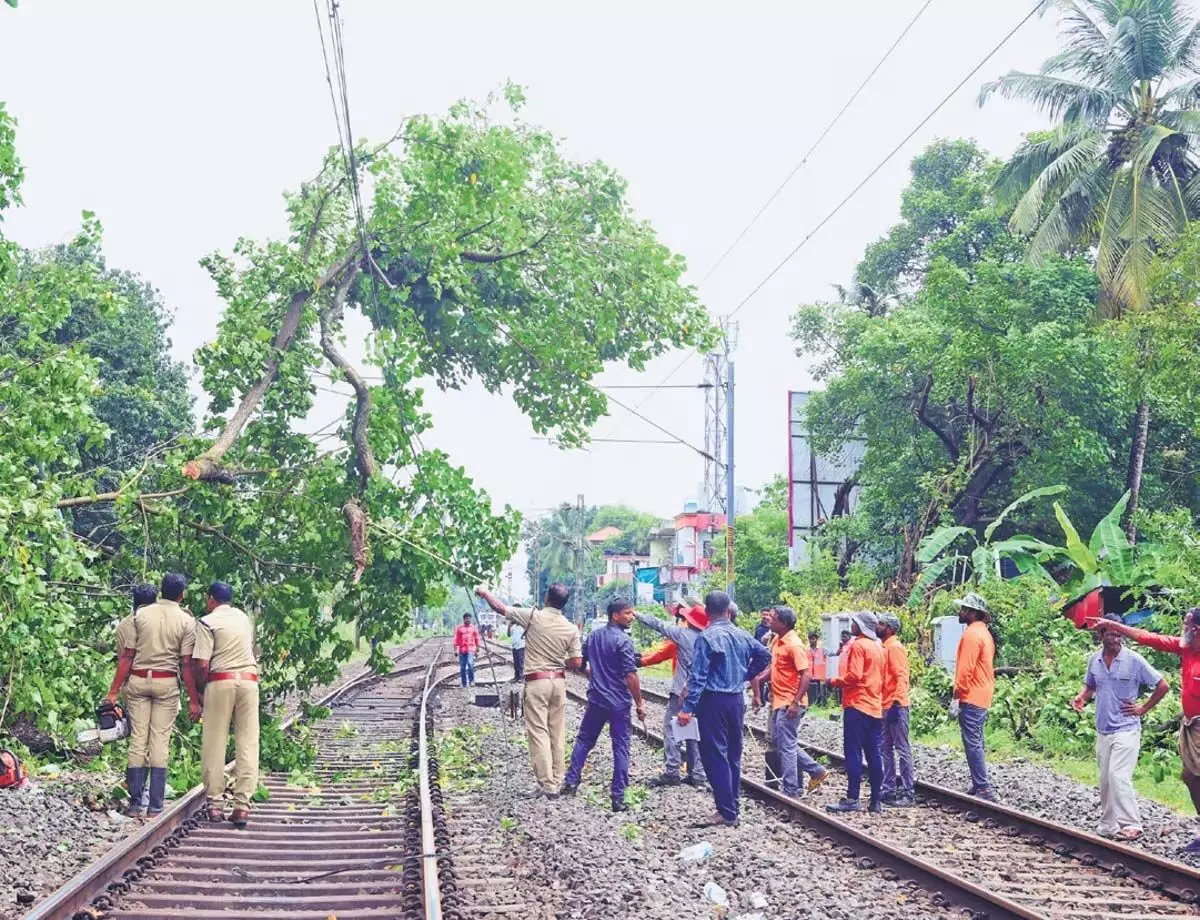 Kerala: एडापल्ली के पास पेड़ गिरने से दो घंटे तक रेल सेवाएं बाधित रहीं