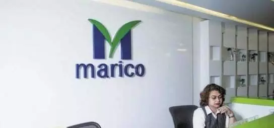 Marico: एफएमसीजी का शेयर बढ़कर 6.56% पर पहुंचा