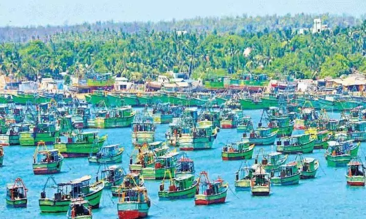 CHENNAI: मछुआरे उचित मूल्य की मांग, अनिश्चितकालीन हड़ताल पर, बंदरगाह पर 700 नावें रुकी