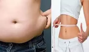 Lifestyle: मोटापे की समस्या से है परेशान, वक्त रहते आदत में कर लें ये सुधार