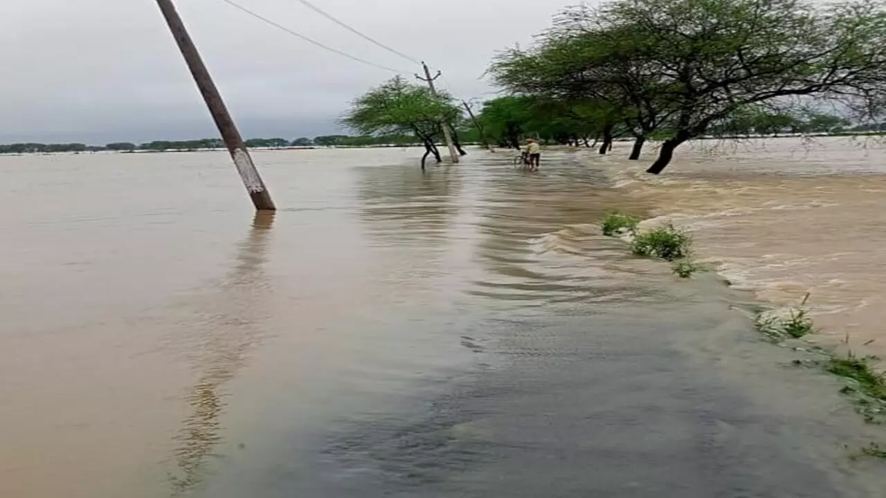 Moradabad:  भारी बारिश के चलते रामगंगा नदी व अन्य नदियों का जल बढ़ने लगा स्तर