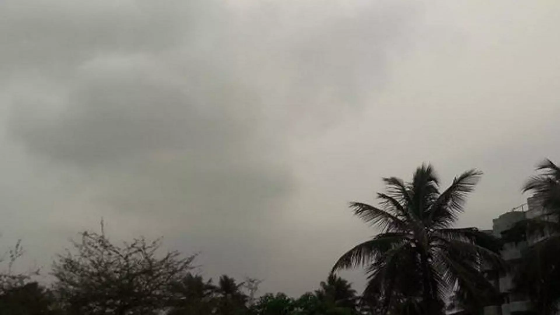 Bhubaneswar News: अगले 5 दिनों में पूरे राज्य में बारिश होगी आईएमडी