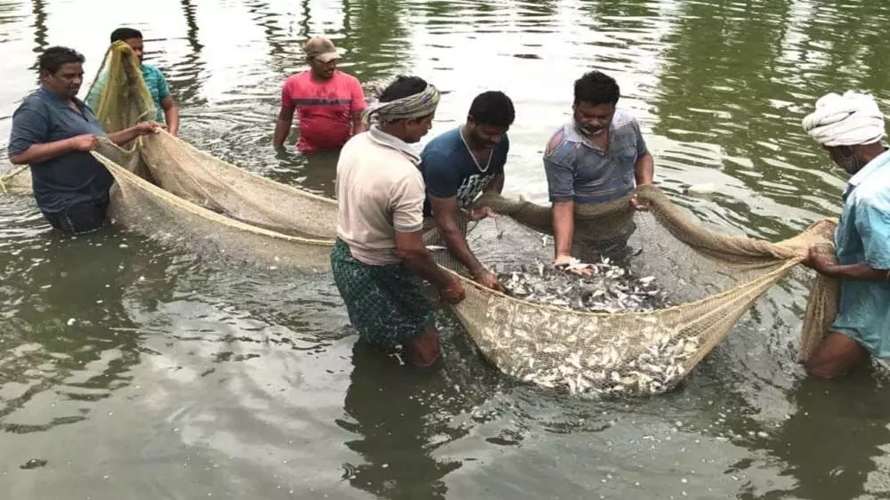 National Fish Farmers Day : 10 जुलाई को राष्ट्रीय मछली किसान दिवस