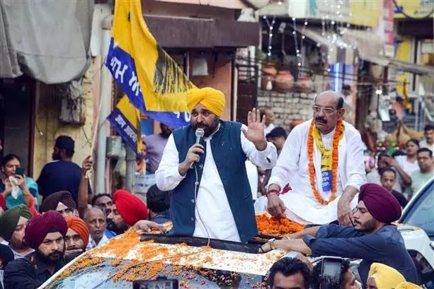Punjab : जालंधर पश्चिम उपचुनाव में बहुकोणीय चुनावी मुकाबला, पंजाब के सीएम मान के लिए अग्निपरीक्षा