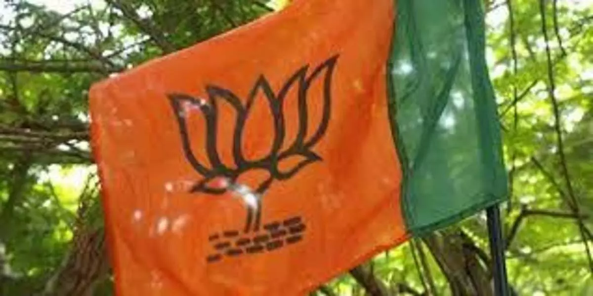 Andhra Pradesh: BJP कार्यकर्ताओं से आम आदमी के कल्याण के लिए काम करने को कहा गया