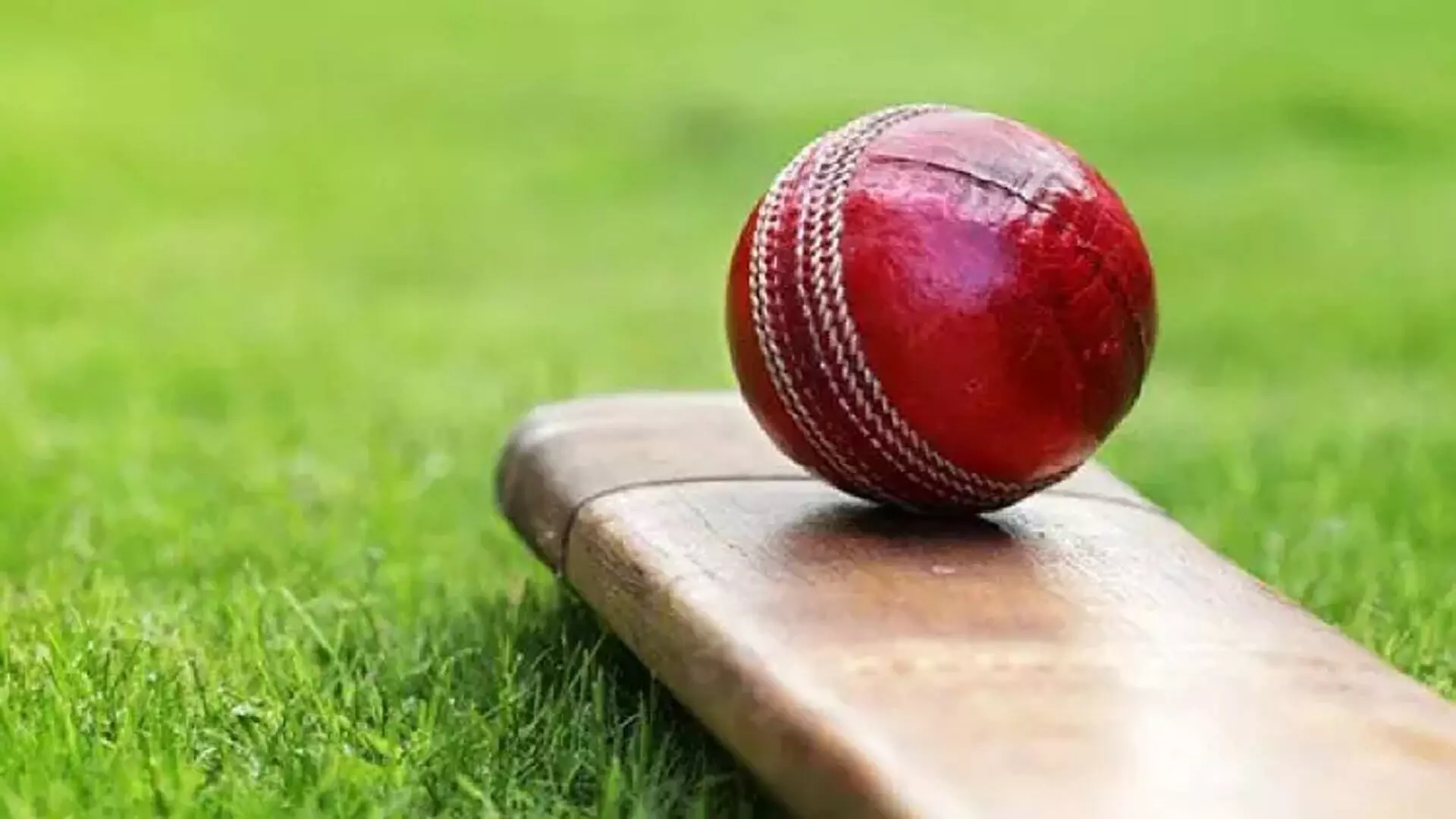 TNCA इंटर डिस्ट्रिक्ट्स अंडर-14: सेमीफाइनल में गेंदबाजों का दबदबा