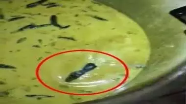 Video-हॉस्टल मेस की चटनी में तैरता दिखा जिंदा चूहा