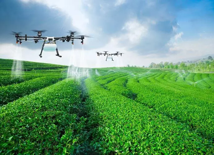 Kerala: कृषि विश्वविद्यालय नेतृत्व, चावल के बीज बोने के लिए ड्रोन का उपयोग
