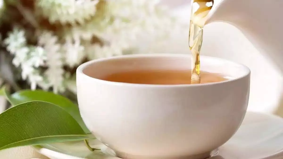 Health Care: चाय में रोज मिलाएं ये चीज शरीर को मिलेंगे गजब के फायदे