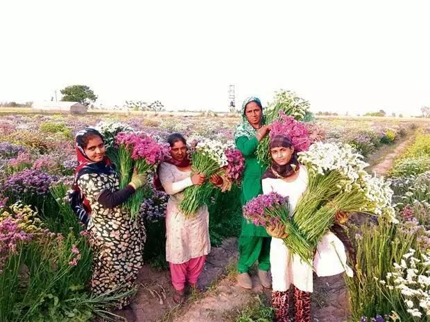 Punjab सरकार से लुधियाना में पहली फूल मंडी स्थापित करने का आग्रह किया