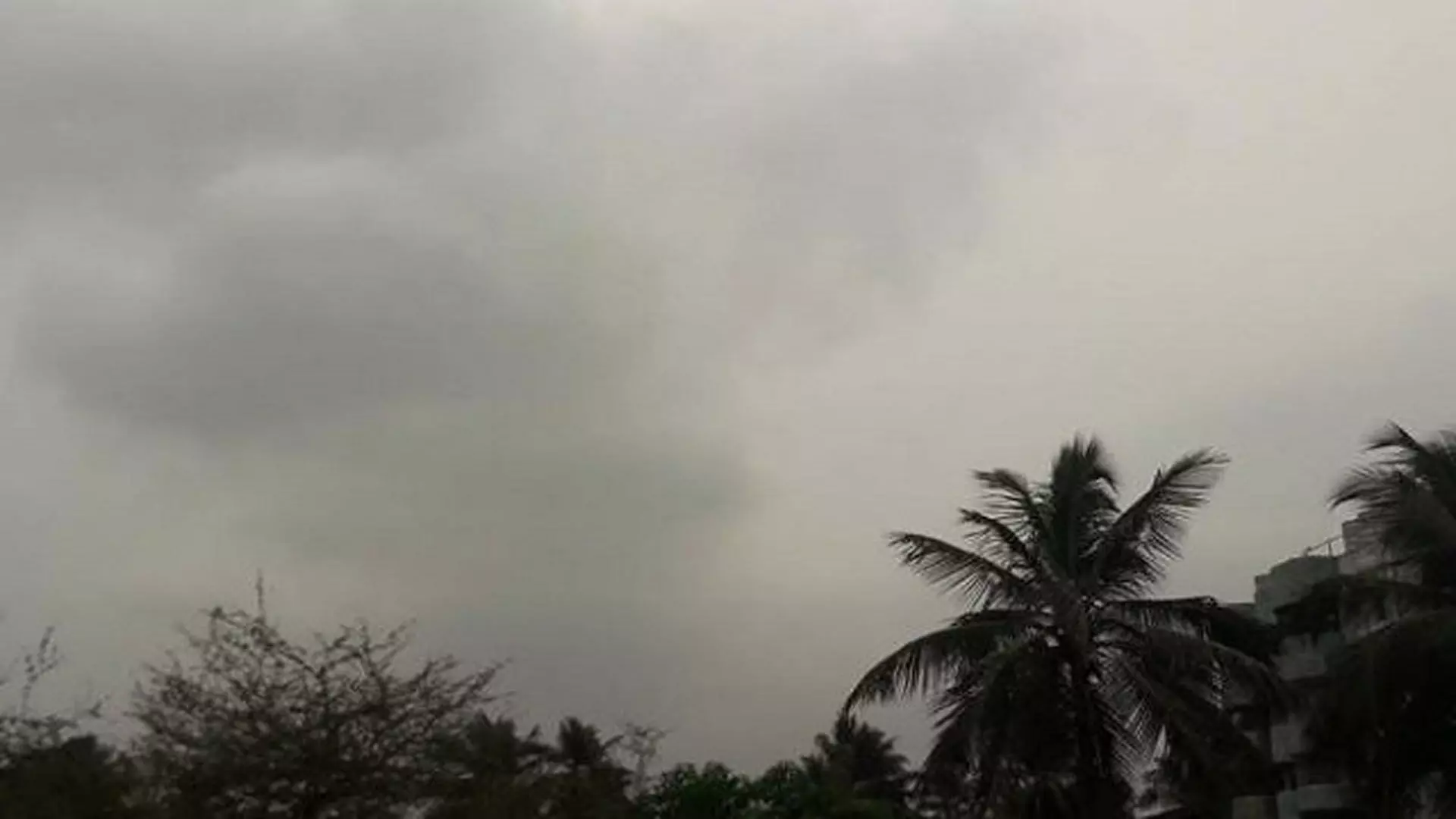 Odisha News: अगले 5 दिनों में पूरे राज्य में बारिश होगी आईएमडी