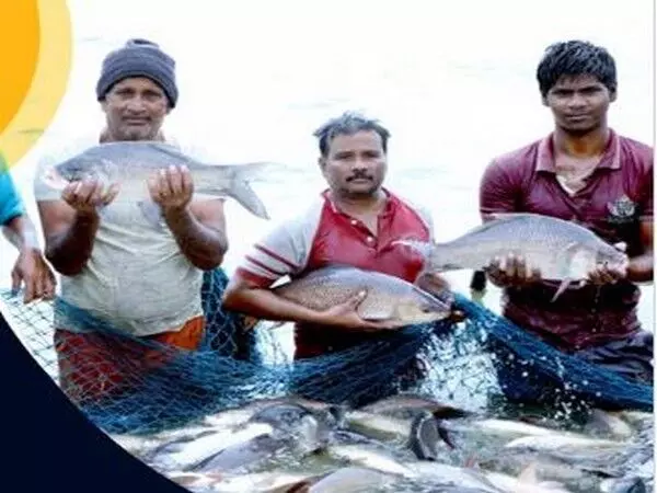 Gujarat आनंद और उकाई में राष्ट्रीय मछली किसान दिवस मनाएंगे