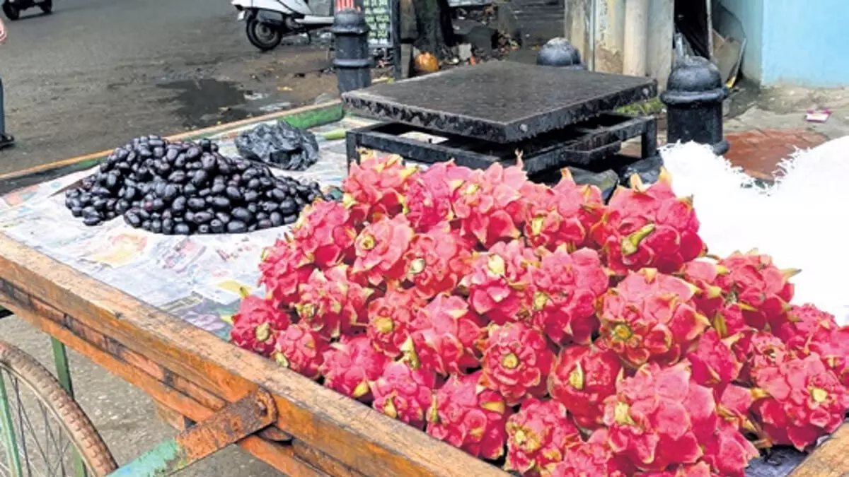 Malnad के मौसम की बदौलत अब विदेशी फल भी घर पर उगाए जा रहे