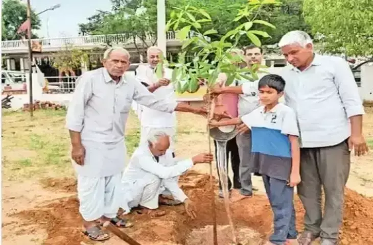 Sikar: त्रिलोकपुरा रोड पर तेजाजी मंदिर के पास व श्मशान भूमि में किया पौधरोपण