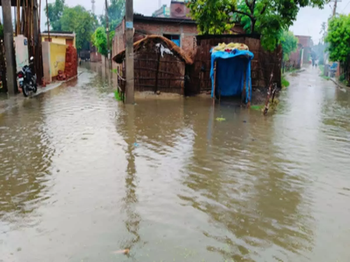 Flood: बगहा के निचले इलाकों में बाढ़ का पानी घरों में गुसा