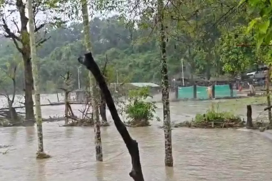 तीस्ता नदी पर Bengal के दो वन गांवों के निवासियों को स्थानांतरित करने की योजना