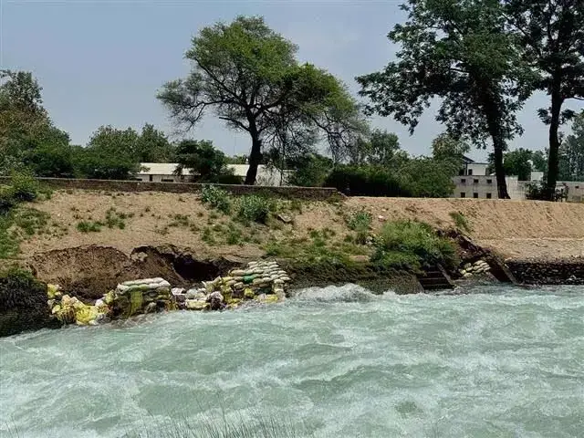 Fatehgarh: चनारथल कलां के निवासियों को नहर टूटने का डर