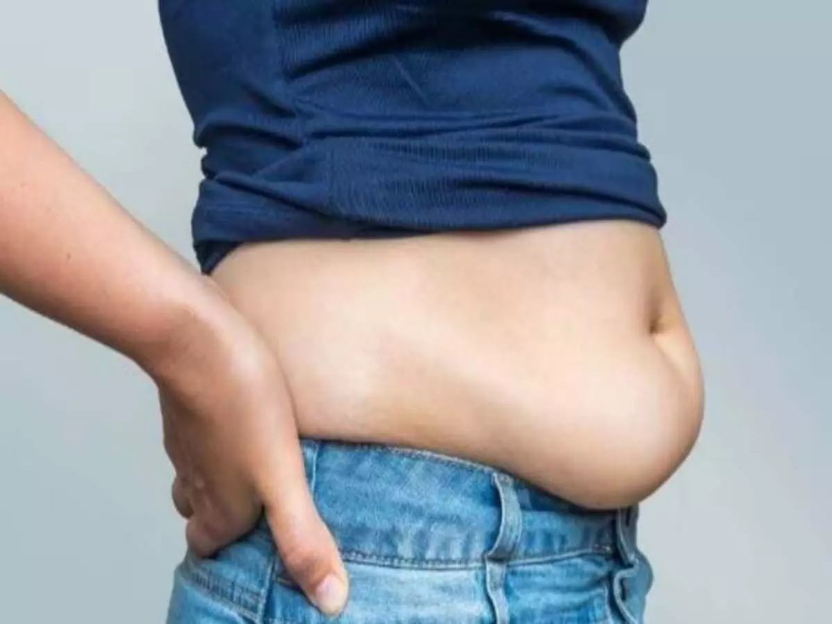 Health Care: इन गलतियों की वजह से बढ़ती है पेट की चर्बी