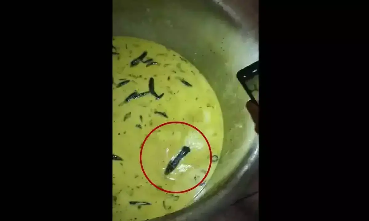 खाने में कीड़े और चूहे देखकर JNTUH Sultanpur के छात्र भड़के