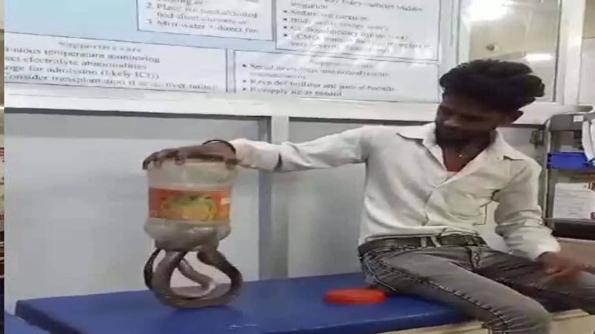 Mirzapur: कोबरा सांप को लेकर अस्पताल पहुंचा युवक