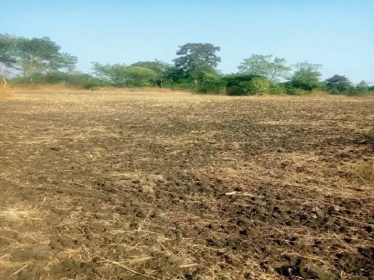 Siwan: परसथुआ बाजार के समीप 50 एकड़ सरकारी भूमि बंदोबस्त करने का मामला सामने आया