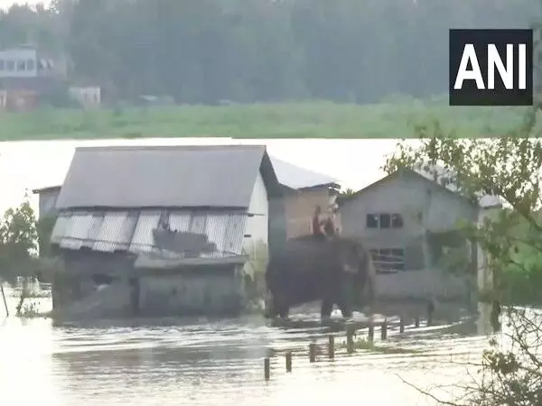 Nagaon में बाढ़ की स्थिति गंभीर, मरने वालों की संख्या हुई 84