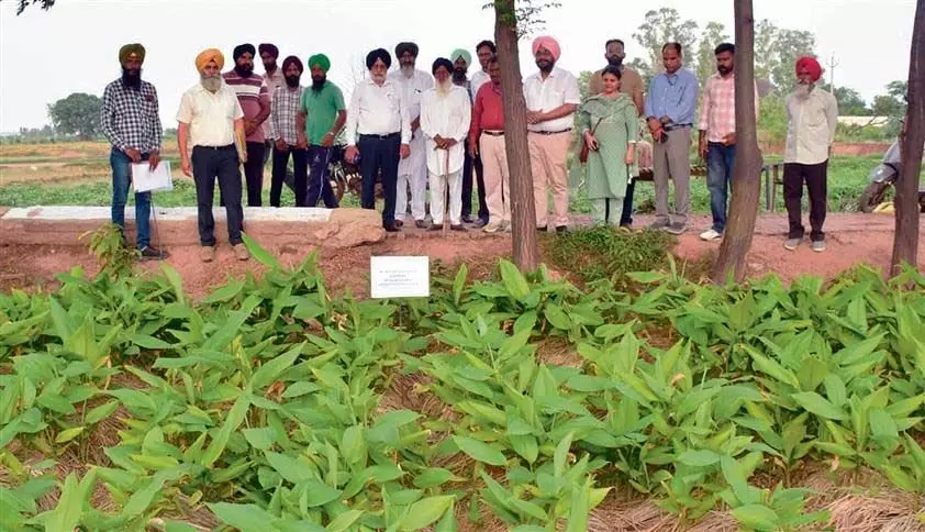 Patiala में एकीकृत कृषि प्रणाली पर प्रशिक्षण कार्यक्रम शुरू