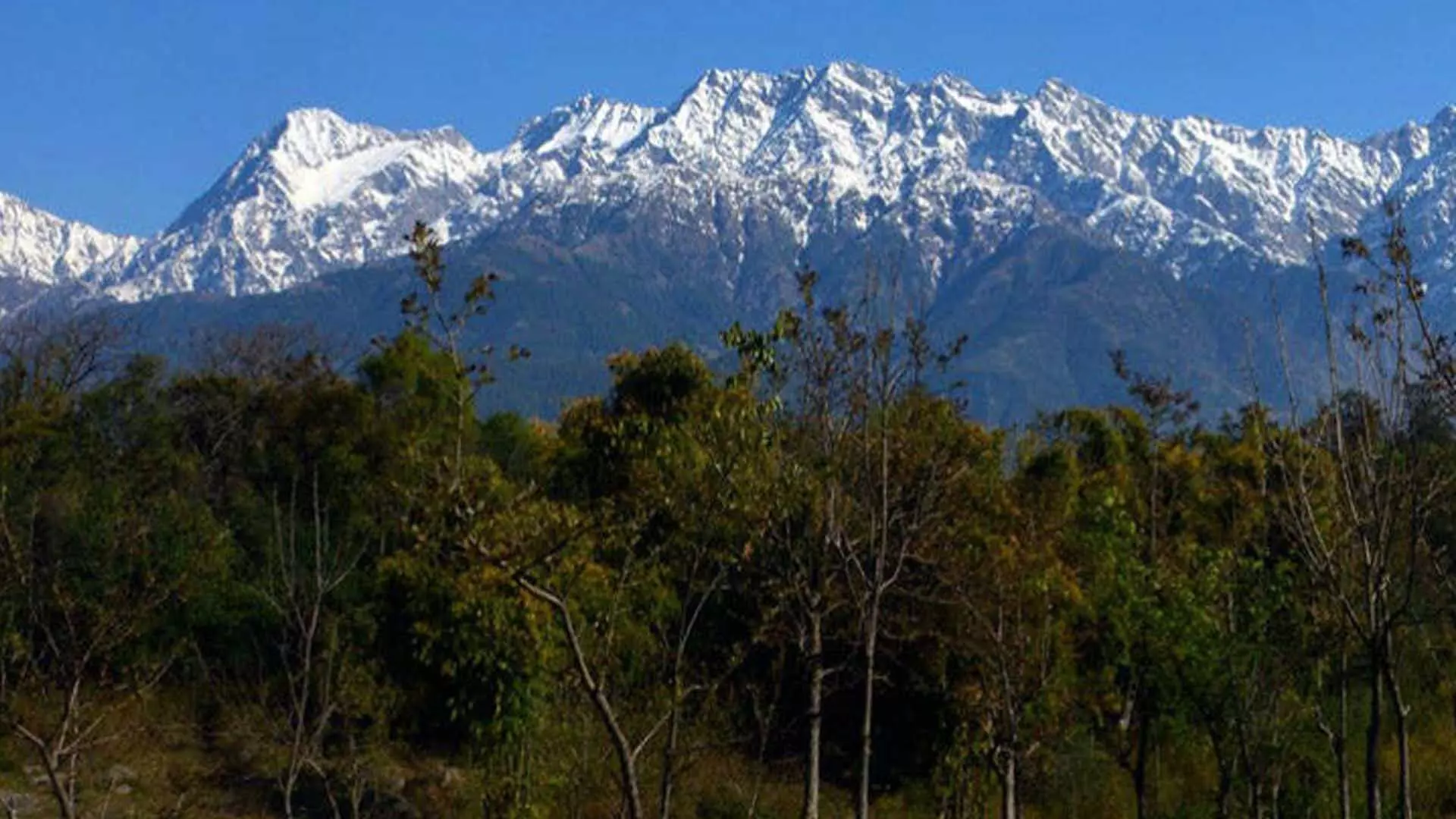 Travel: पालमपुर में 10 खूबसूरत पर्यटन स्थल, जहां आपको जरूर जाना चाहिए