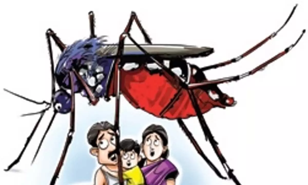 Odisha News: ओडिशा में डेंगू और मलेरिया की चपेट में आने से जिले अलर्ट पर