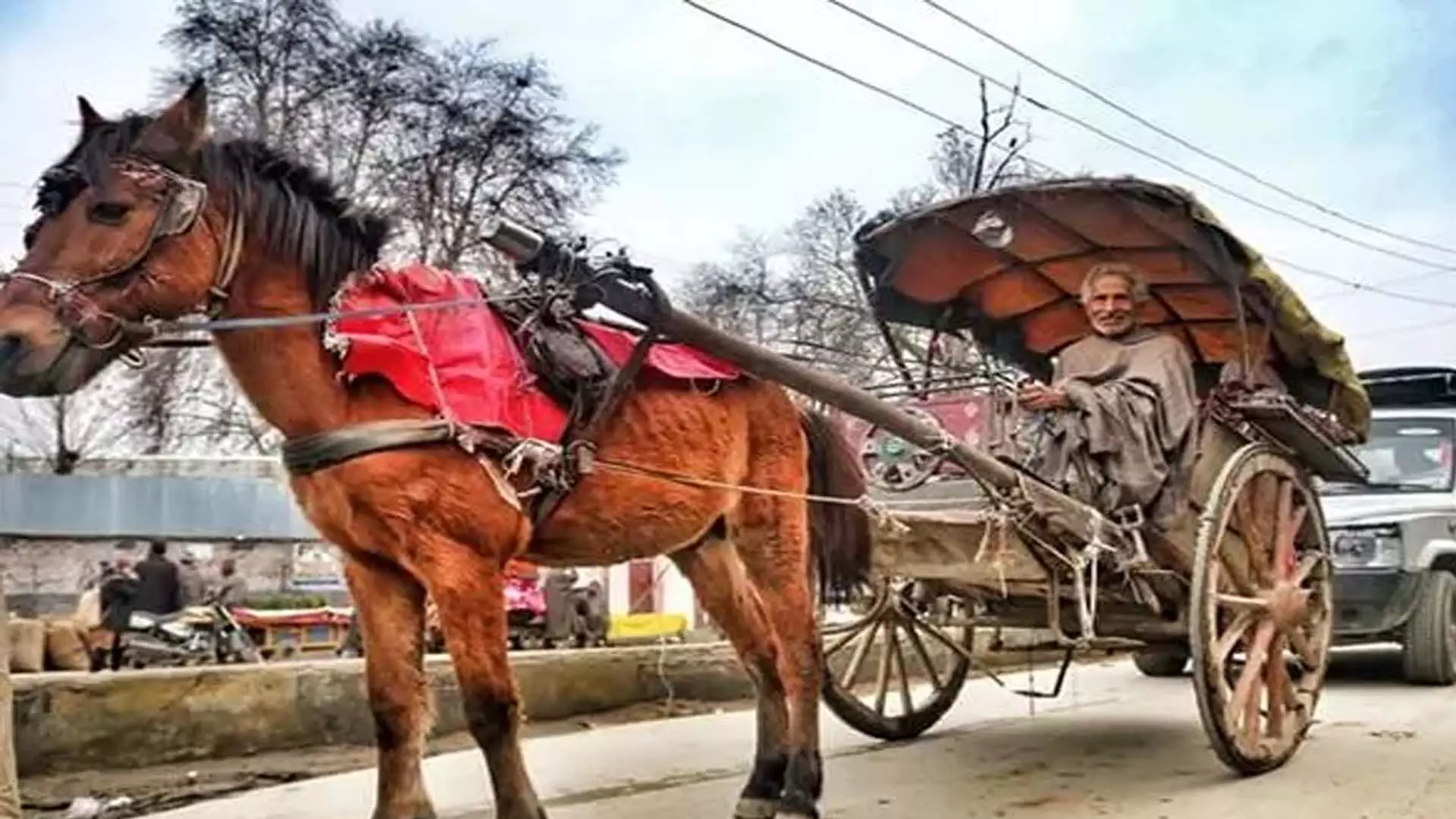 Chariots of the past: कश्मीर की सांस्कृतिक विरासत में तांगा की भूली हुई विरासत