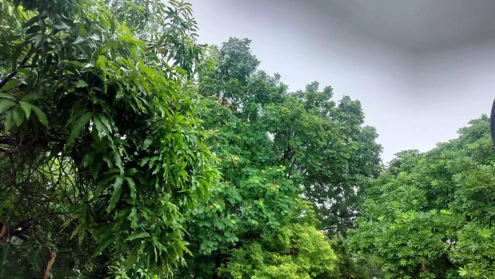 Raipur में मूसलाधार बारिश शुरू, 18 जिलों में भी अलर्ट