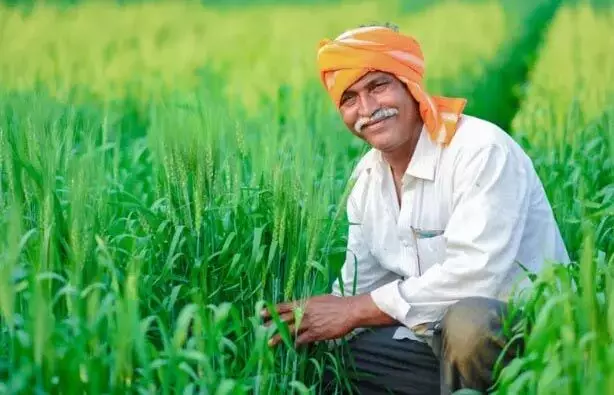 किसानों से किए वादे पूूरे कर रही विष्णुदेव सरकार