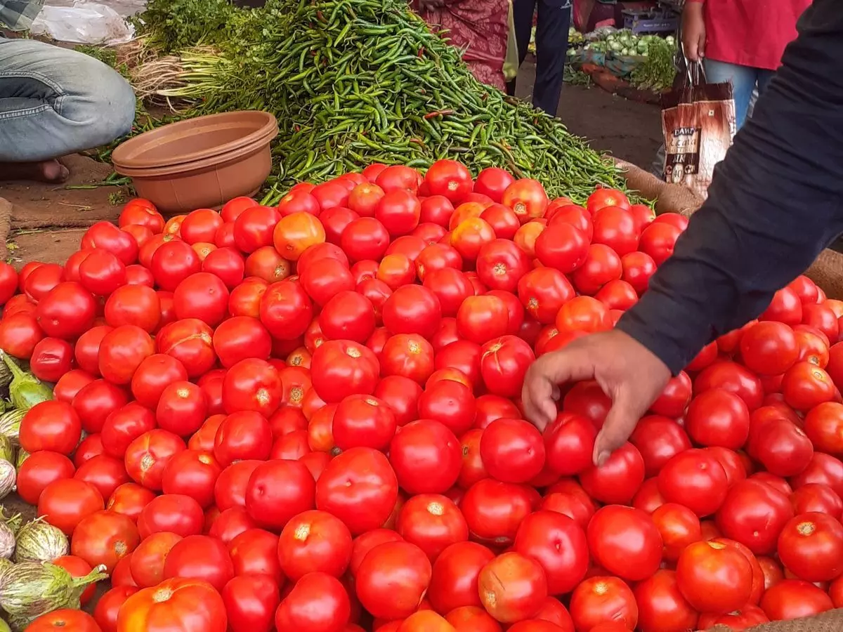Manali: भुंतर सब्जी मंडी में टमाटर 80 रुपये प्रति किलो बिका