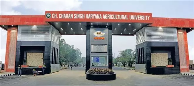 HARYANA   कृषि विश्वविद्यालय में 14 जुलाई को प्रवेश परीक्षा आयोजित