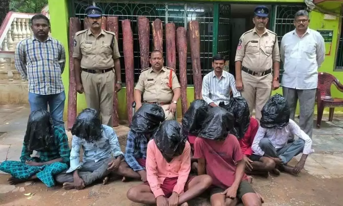 Tirupati: आठ लोग गिरफ्तार, 11 लाल चंदन की लकड़ियाँ बरामद