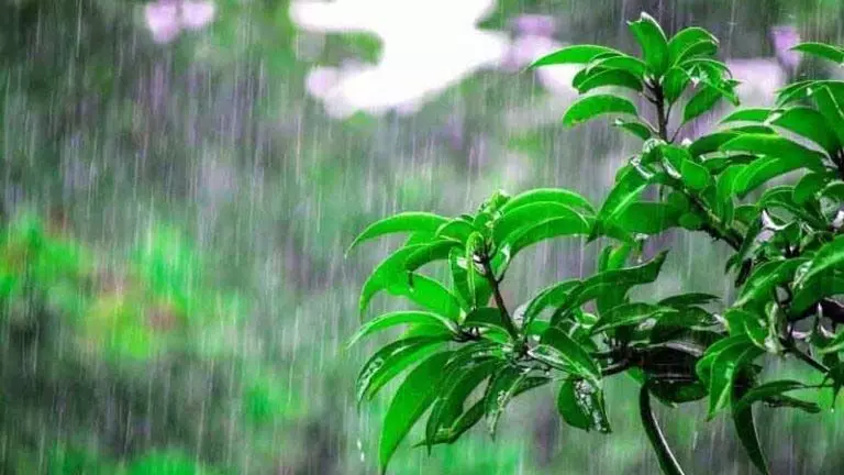 Monsoon: कांगड़ा में झमाझम बारिश