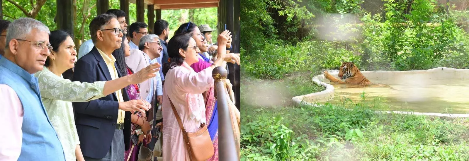 BREAKING: केंद्रीय वित्त आयोग के दल ने देखा नवा रायपुर, जंगल सफारी का किया भ्रमण