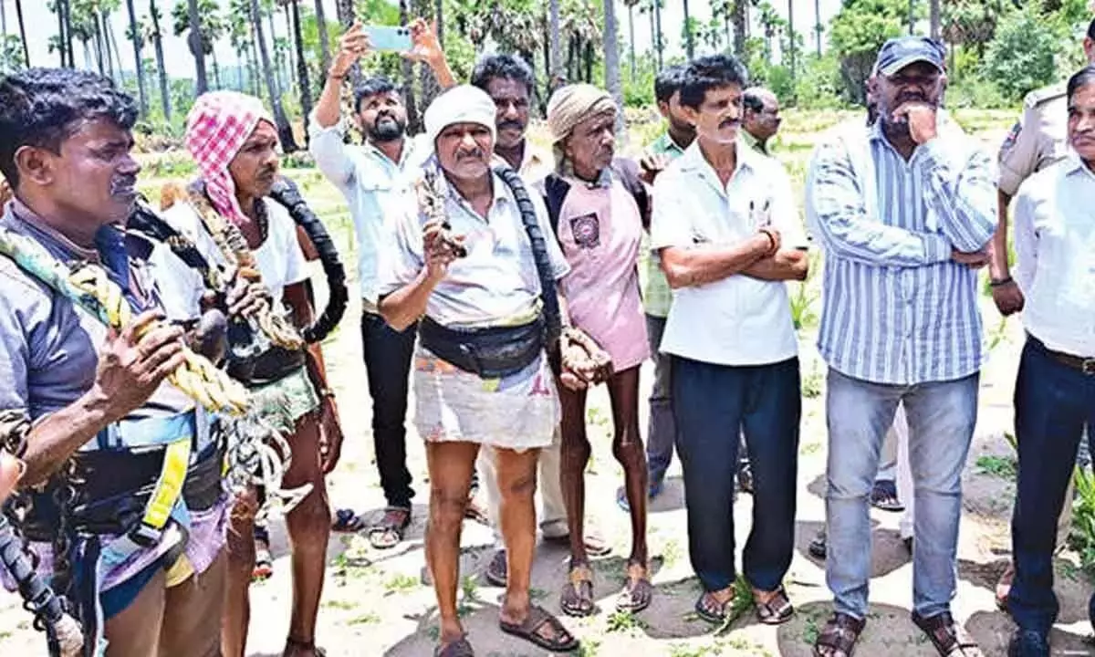 Telangana News: सरकार ताड़ी निकालने वालों के कल्याण के लिए प्रतिबद्ध