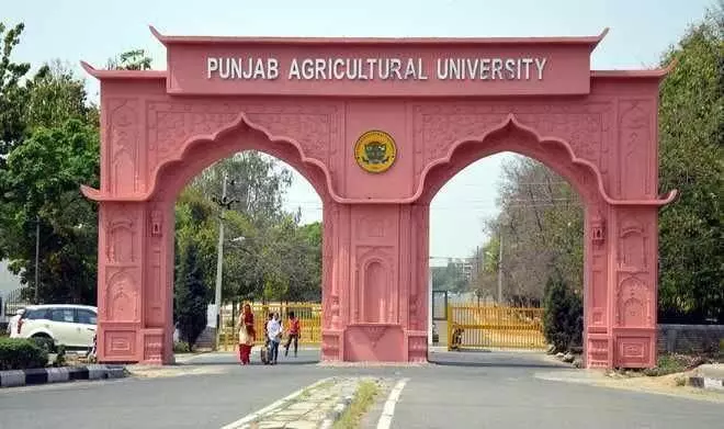 Punjab कृषि विश्वविद्यालय ने सरफेस सीडर तकनीक पर सहमति पत्र पर हस्ताक्षर किए