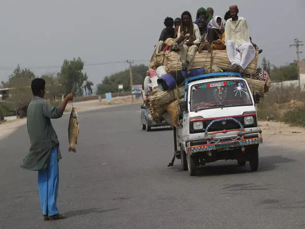 Pakistan की जनसंख्या 2092 तक 400 मिलियन तक पहुंचने का अनुमान: संयुक्त राष्ट्र रिपोर्ट