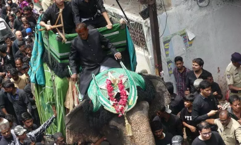 Hyderabad: मुहर्रम के लिए हाथी रूपवती का स्थानांतरण, बोनालू को हटाया गया