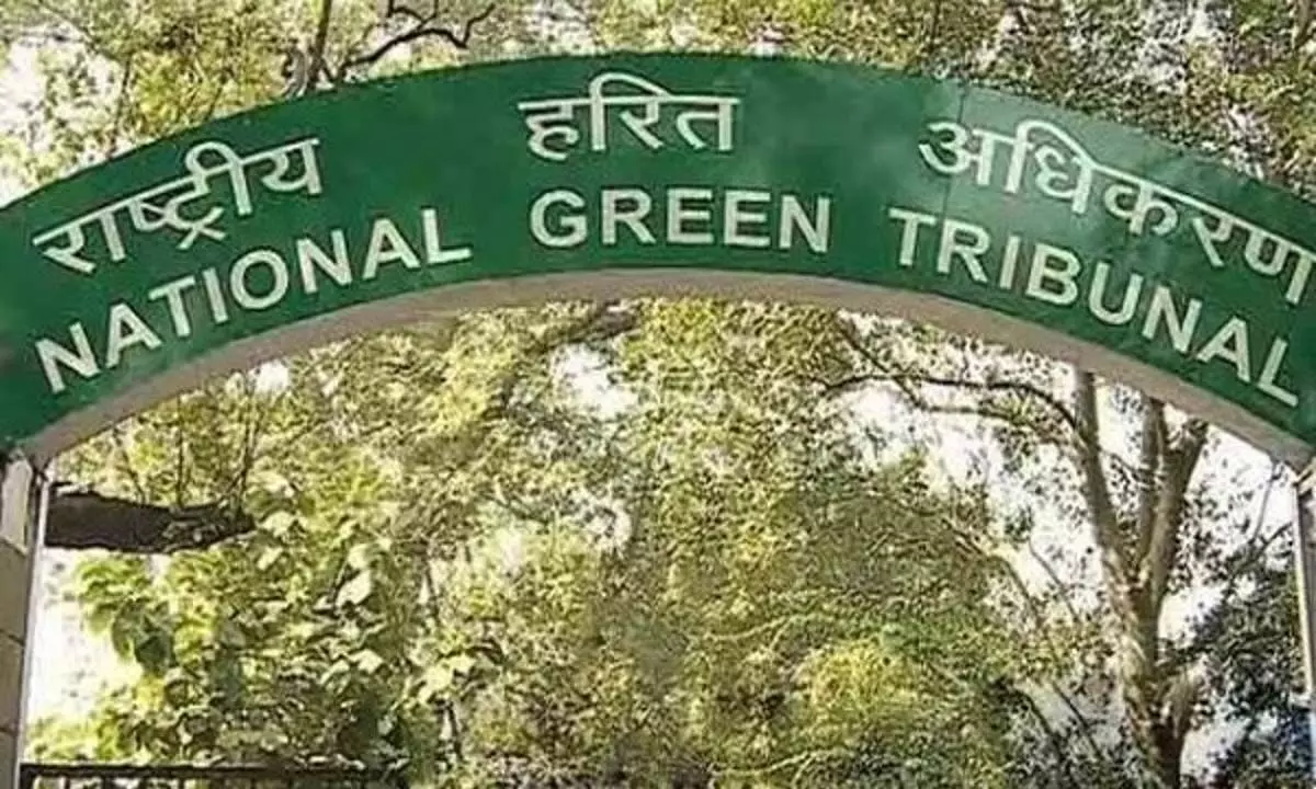 Odisha News: राष्ट्रीय हरित अधिकरण ने झारसुगुड़ा कलेक्टर से एटीआर प्रस्तुत करने को कहा