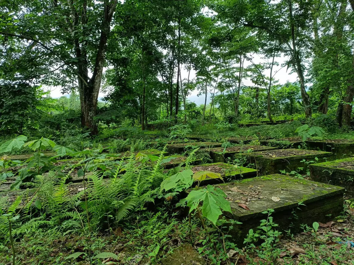 ARUNACHAL NEWS के चांगलांग जिले में द्वितीय विश्व युद्ध कब्रिस्तान की हालत दयनीय