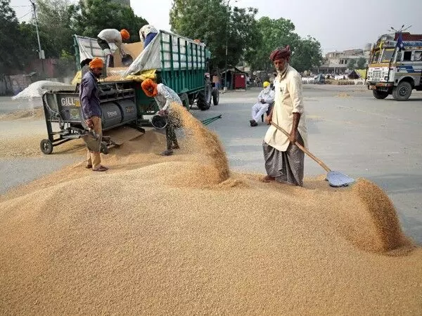 Pakistan ने गेहूं के आयात और आटे के निर्यात पर प्रतिबंध लगाया