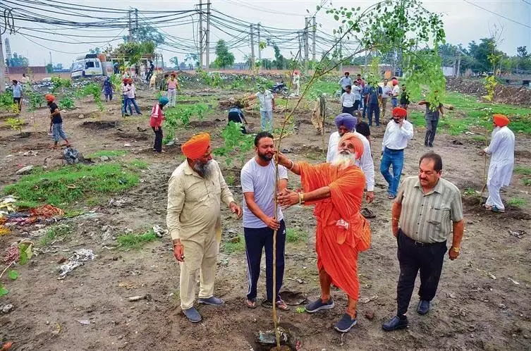 Ludhiana: सांसद सीचेवाल ने ‘बुड्ढा दरिया’ के किनारे 550 पौधे लगाए