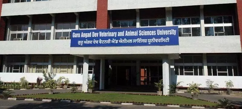 Ludhiana: पशु चिकित्सा विश्वविद्यालय ने वृक्षारोपण अभियान का आयोजन किया