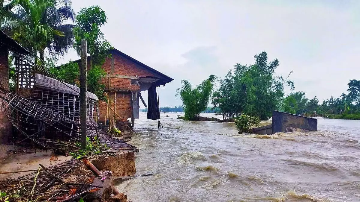 ASSAM : नालों की सफाई और सड़क मरम्मत पर ध्यान केंद्रित