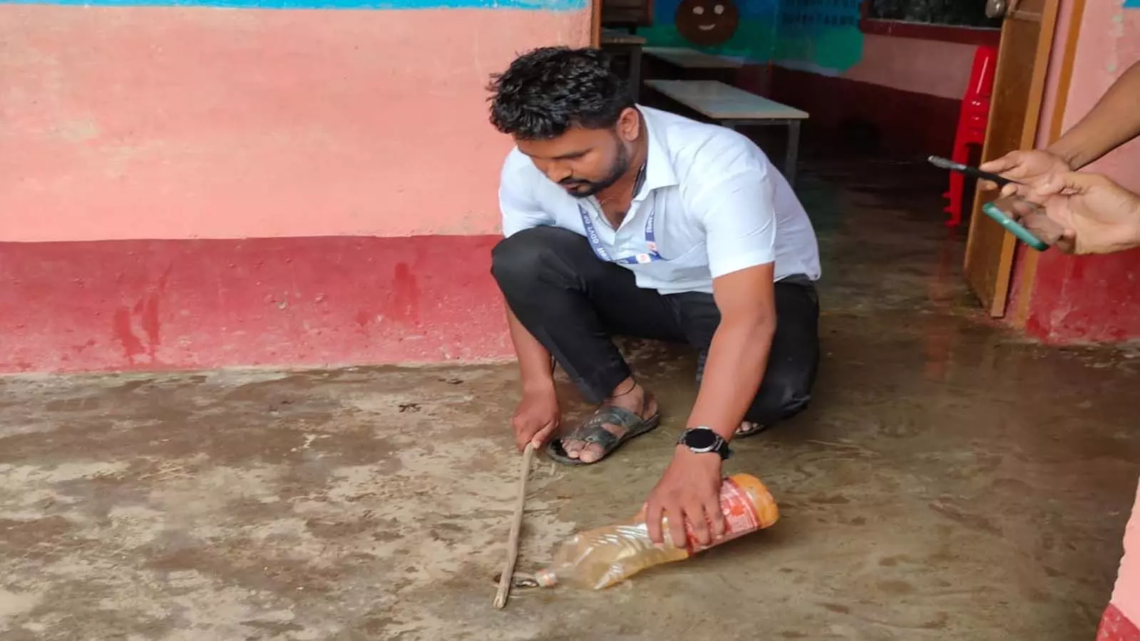 Bihar के सरकारी स्कूल में निकले 40 से अधिक कोबरा सांप
